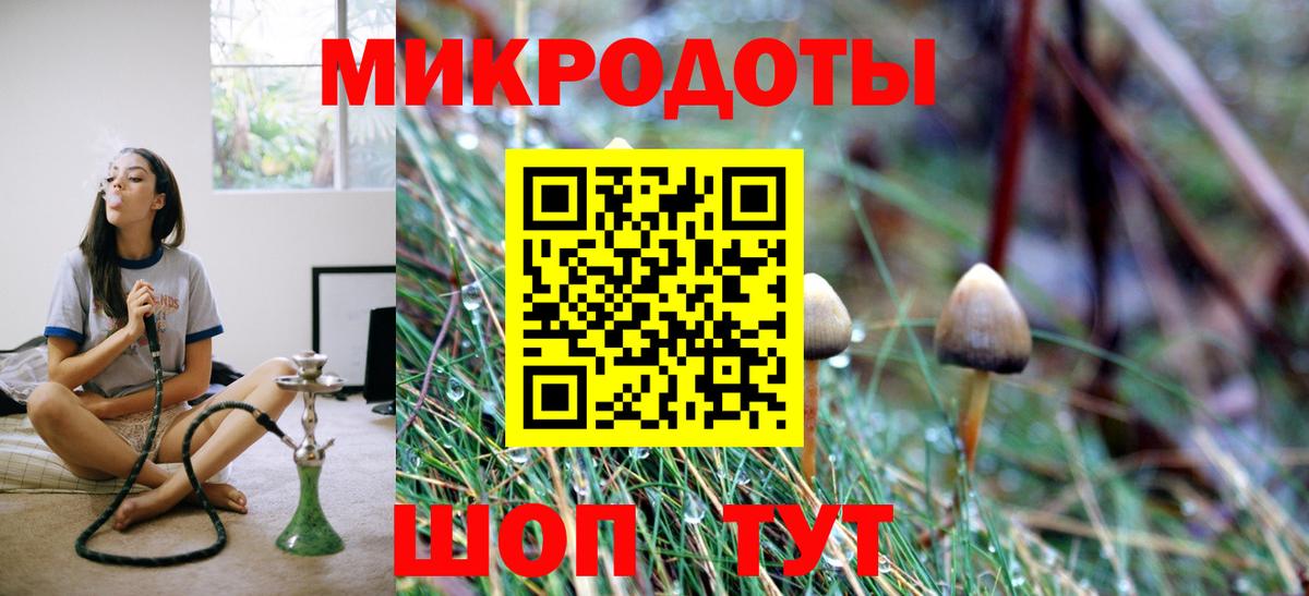 Крымск  Галлюциногенные грибы MAGIC MUSHROOMS  Вход с VPN  Галлюциногенные грибы GOLDEN TEACHER 