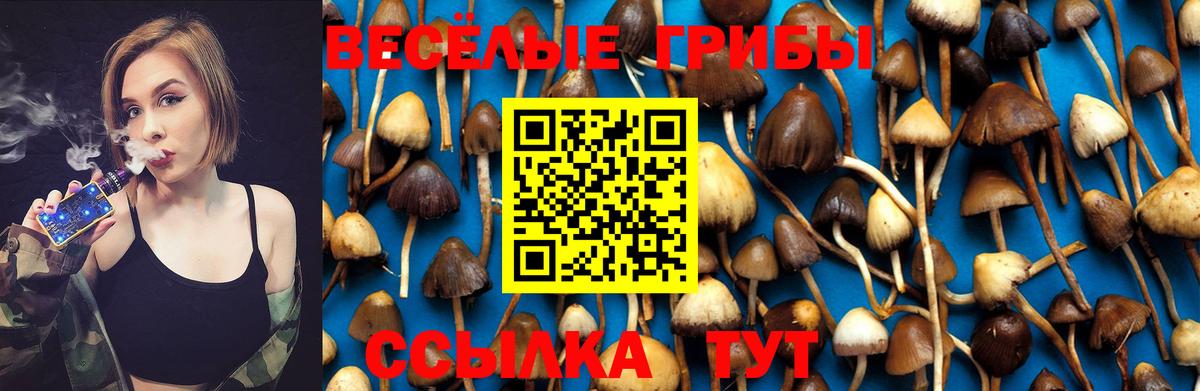 Галлюциногенные грибы MAGIC MUSHROOMS Крымск